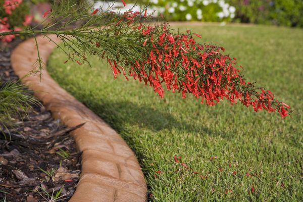 Brick Edging in Clifton Park