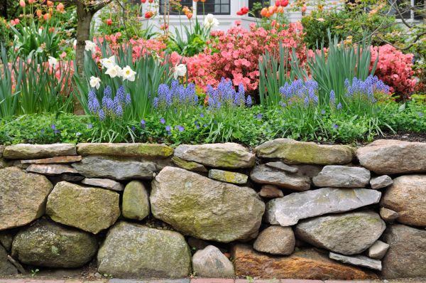 Stone Wall Hardscaping in Clifton Park