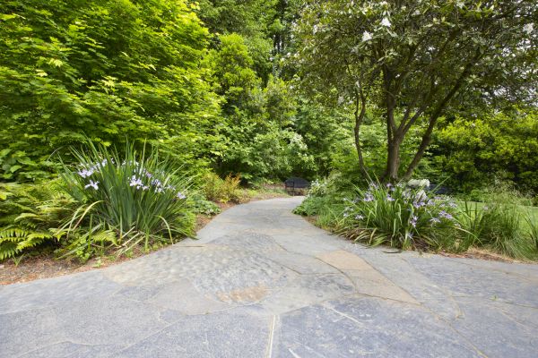 Stone Hardscape Service in Clifton Park